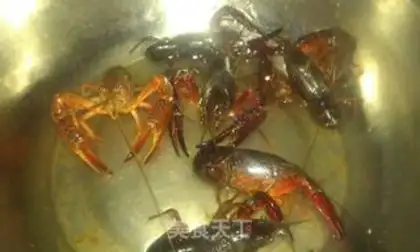Make Vacuate the lobster step 2