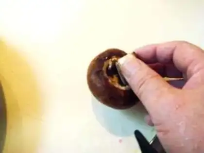 Make step 11