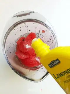 Make Watermelon mint step 3