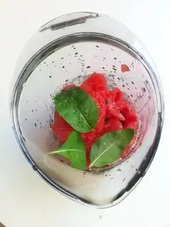 Make Watermelon mint step 4