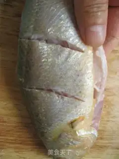 Make Vacuated yellowfish step 2