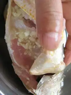 Make Vacuated yellowfish step 3