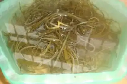 Make Seaweed blends step 0