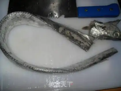 Make Vacuate fish step 0