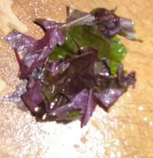 Make Tritium veggie step 4