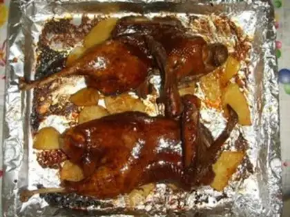 Make Duck step 9