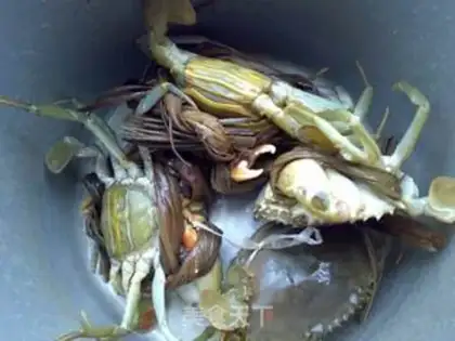 Make A crab step 0