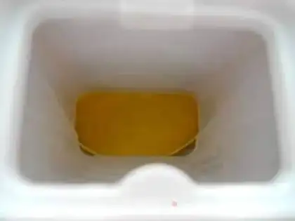 Make Mango ice cream step 14