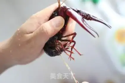 Make Spicy lobster step 0