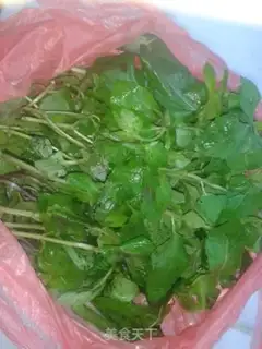 Make Frozen mint chicken step 0
