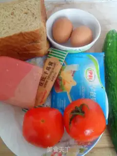 Make Whole wheat sandwich step 0