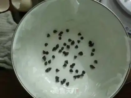 Make Yogurt step 9