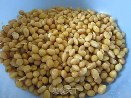 Make Soybean pelvis step 0