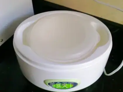 Make No sugar yogurt step 6