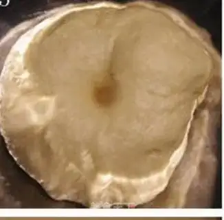 Make Puffy bread step 3
