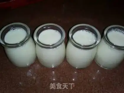 Make Homemade yogurt step 3