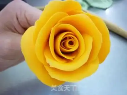 Make Simulation of roses step 10