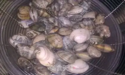 Make Spicy clams step 3