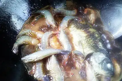 Make Shrimp step 7