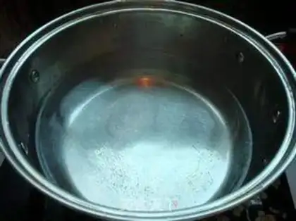 Make Chicken Juice fan step 2