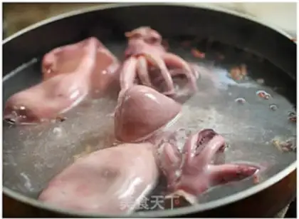 Make Squid step 4