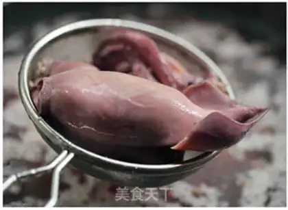 Make Squid step 5
