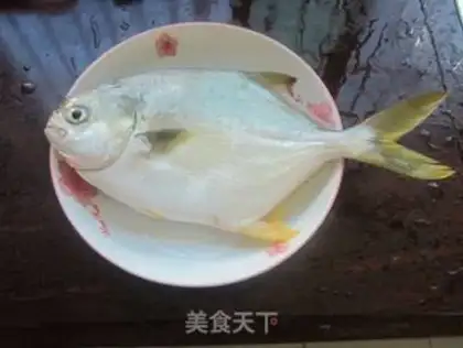 Make Vacuated goldfish step 0