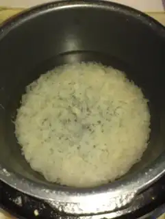 Make Silver melon step 5
