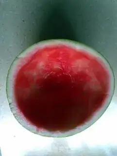 Make Silver melon step 9