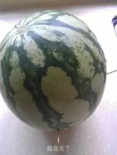 Make Silver melon step 12