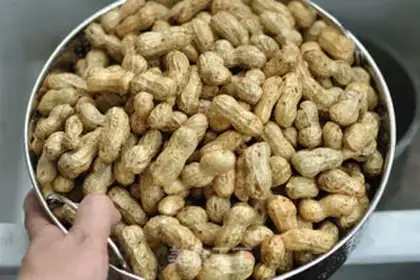 Make Five halogen peanuts step 0
