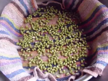Make Soybeans step 2