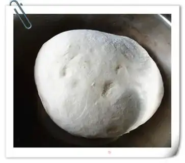 Make Pyramid blue mushroom dumplings step 2