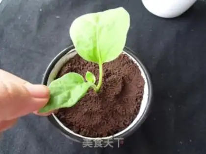 Make Battery ice cream step 6