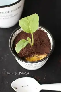 Make Battery ice cream step 8