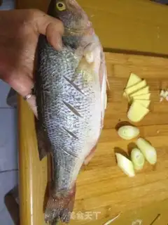 Make Red-hot bass step 2