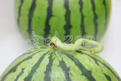 Make Watermelon popsicle step 4
