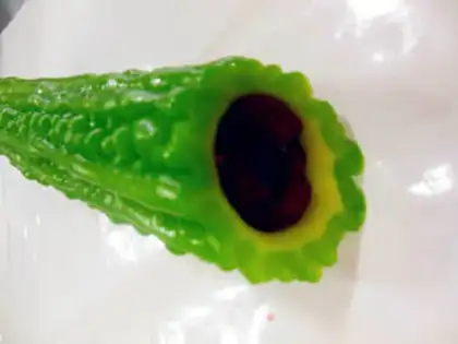 Make The fruit-breeding melon step 7
