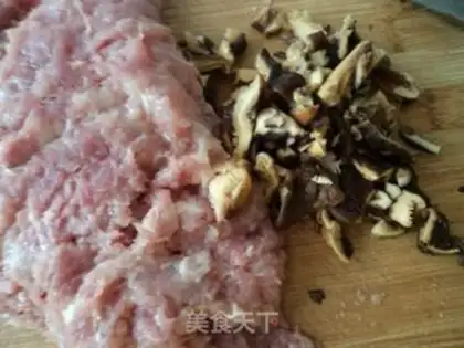 Make Sphinx meatballs step 2