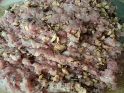 Make Sphinx meatballs step 3