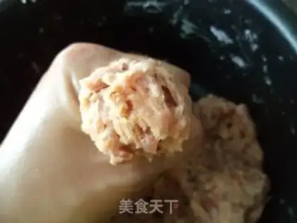 Make Sphinx meatballs step 7