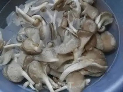 Make Homemade tofu step 3