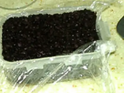 Make Black date cake step 11
