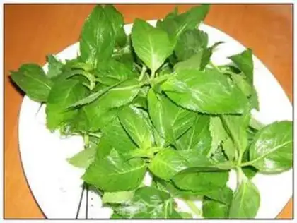 Make Mint ice cream step 5