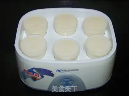 Make Homemade yogurt step 6