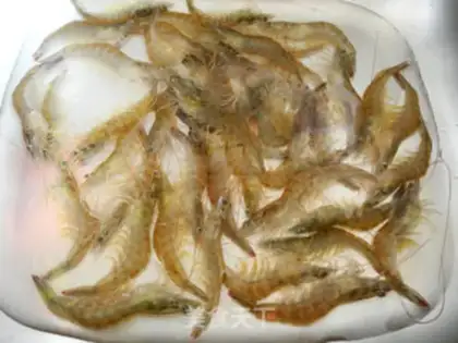 Make Shrimp step 0