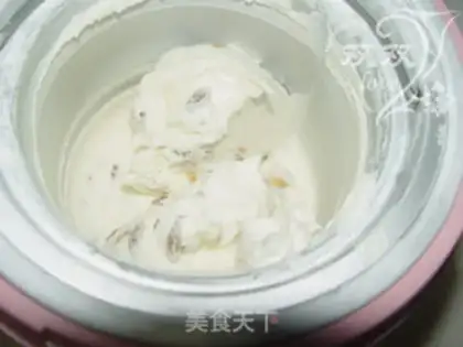 Make Yogurt ice cream step 9