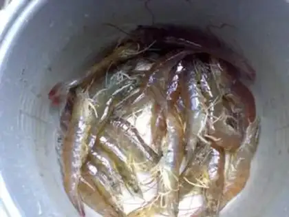 Make oatmeal shrimp step 0