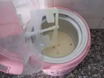 Make Vanilla blueberry ice cream step 15