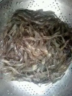 Make Shrimp step 0